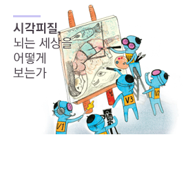 시각피질, 뇌는 세상을 어떻게 보는가