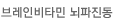 브레인비타민 뇌파진동