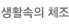 생활속의 체조