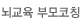 뇌교육 부모코칭