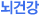 뇌건강