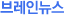 브레인뉴스