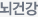 뇌건강