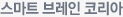 스마트브레인코리아 class=