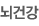뇌건강