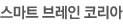 스마트 브레인 코리아