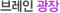 브레인 커뮤니티