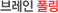 브레인 폴링